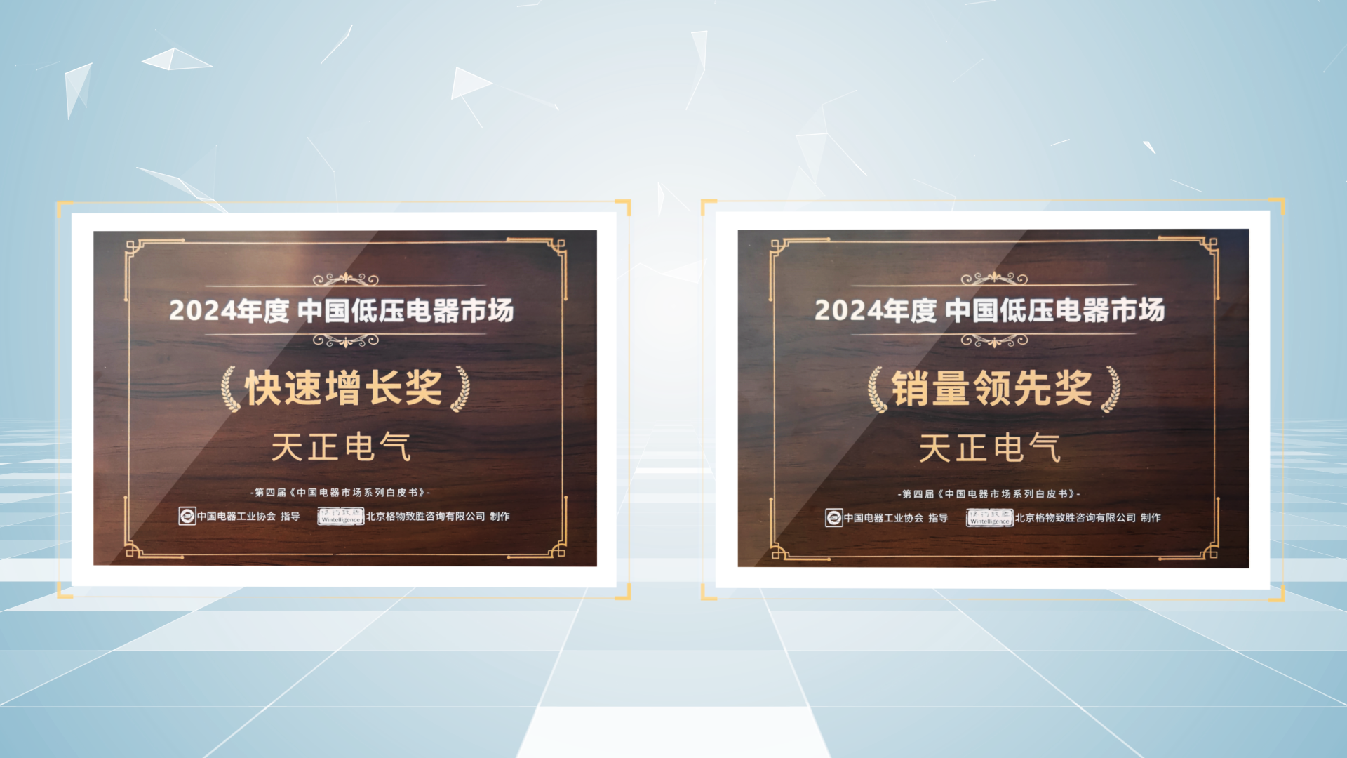 銷量領(lǐng)先、快速增長丨天正榮膺2項行業(yè)年度大獎
